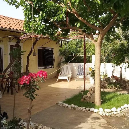 Villa Panos And Chrisas House à Drepano  Extérieur photo