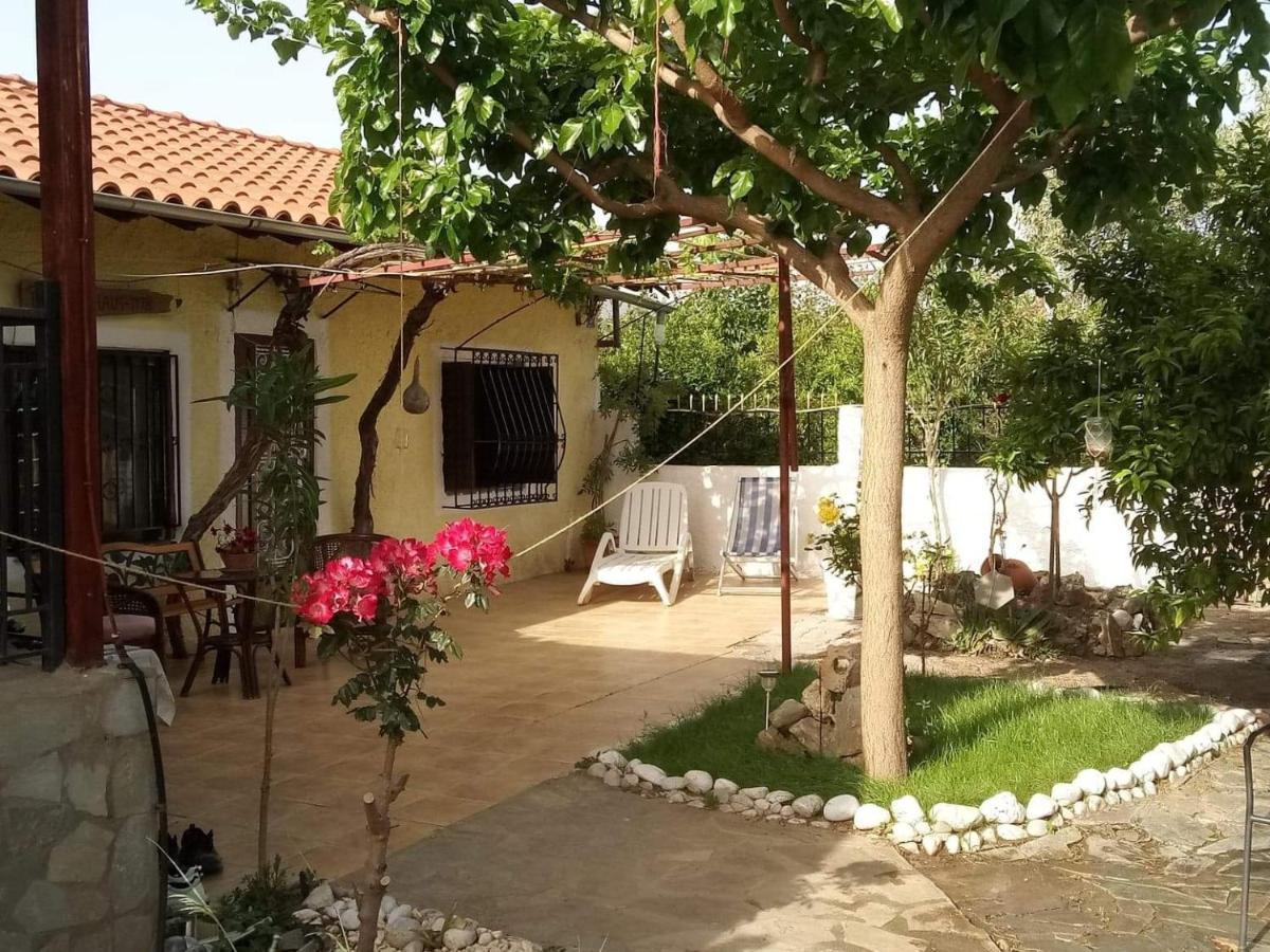 Villa Panos And Chrisas House à Drepano  Extérieur photo