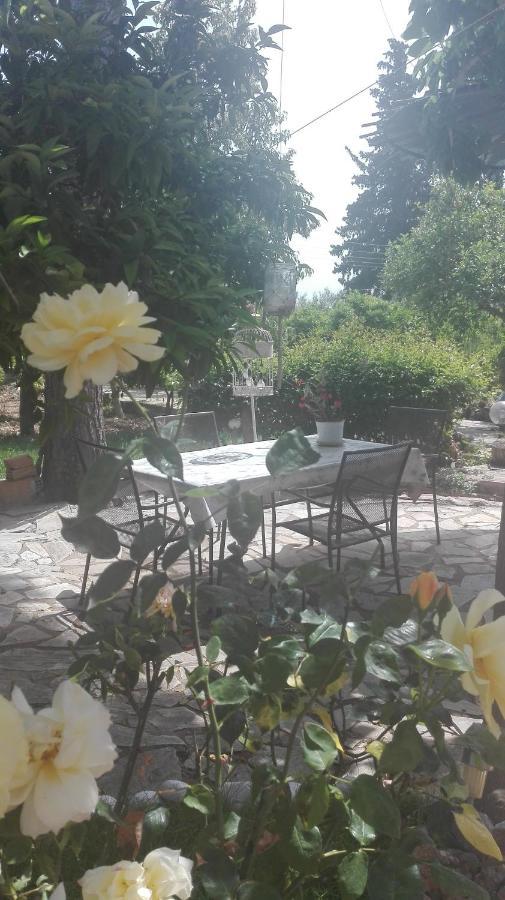 Villa Panos And Chrisas House à Drepano  Extérieur photo