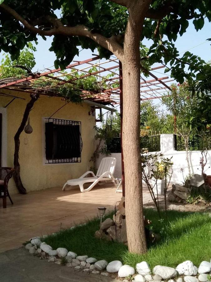 Villa Panos And Chrisas House à Drepano  Extérieur photo