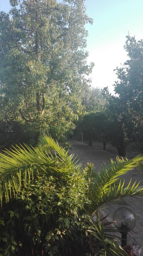 Villa Panos And Chrisas House à Drepano  Extérieur photo
